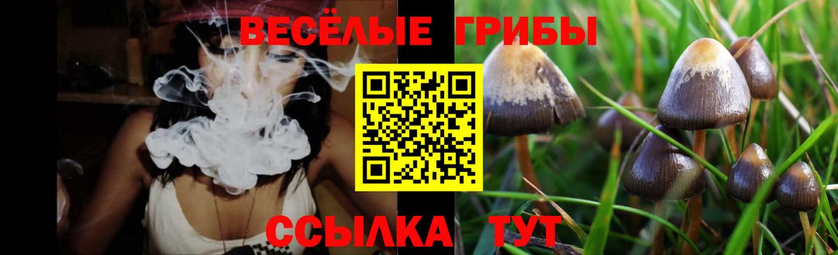 Нововоронеж  Псилоцибиновые грибы мицелий  Псилоцибиновые грибы Magic Shrooms  Вход с VPN 